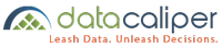 Data Caliper Logo